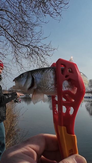 Мормышинг с Mifine Air Spin