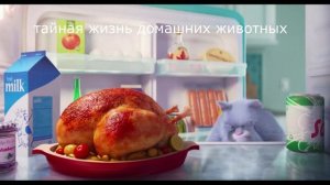 толстый котик(тайная жизнь домашних животных)
