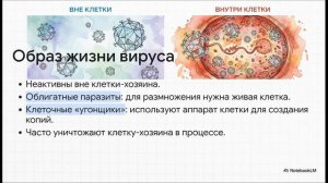 Биология 5 класс параграф 14 МНОГООБРАЗИЕ И ЗНАЧЕНИЕ БАКТЕРИЙ И ВИРУСОВ краткий пересказ
