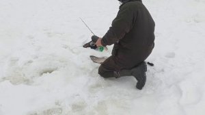 VID_20260228_122742_365