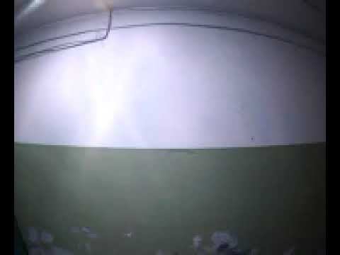 7 июля 2023 г. смотреть онлайн