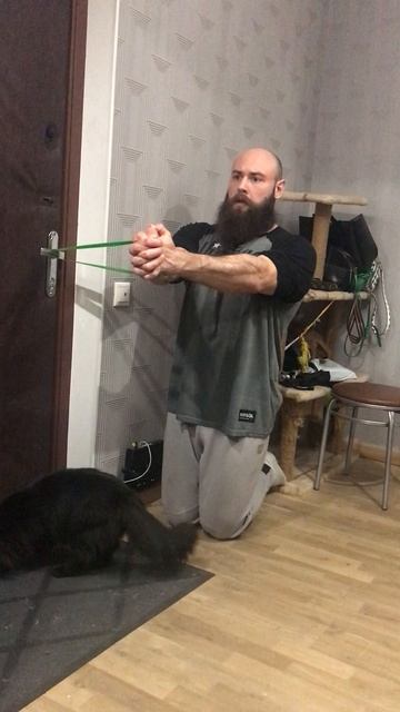 Жим Паллофа стоя на коленях