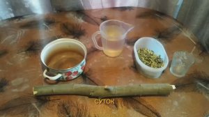 Полезные свойства коры осины, её применение.