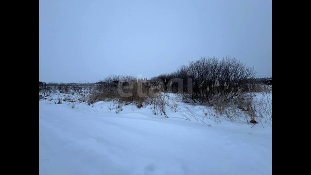 11821483 смотреть онлайн