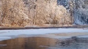 1000011139.mp4🌲🌲🌲ЗИМНИЙ РЕЛАКС 🌲🌲🌲