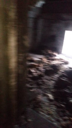 Зашли в трансформаторную подстанцию и санузел на бетонной заброшке в лесу.