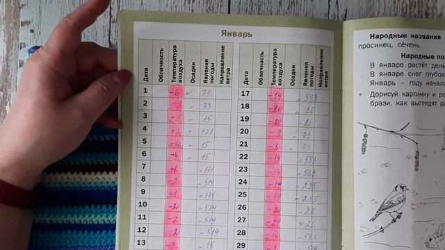 СП ТЕМПЕРАТУРНЫЙ ПЛЕД Февраль Участник №45