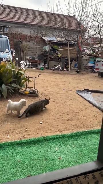 Миссия полностью провалена из-за неопытного напарника😰 Миссия полностью провалена из-за неопытного напарника😰