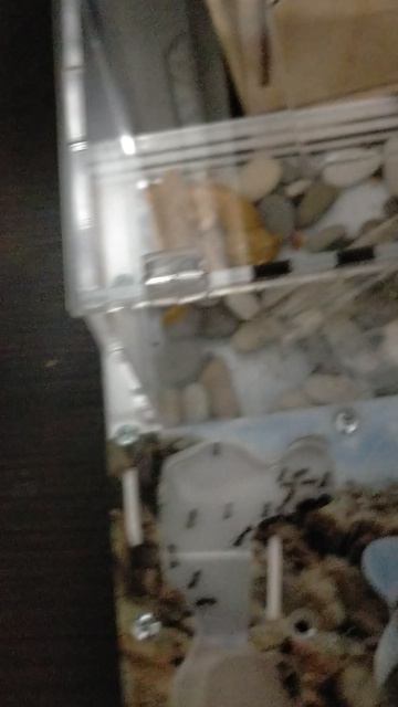 ёу это вторая часть