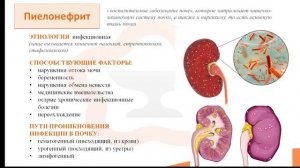 Лекция 9.2. Почечная недостаточность, гломерулонефрит, пиелонефрит