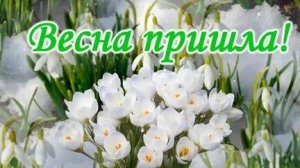 Уж тает снег, бегут ручьи - с первым днём Весны. Красивая музыкальная открытка.