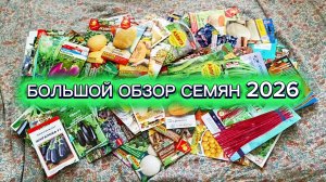 Заключительный большой обзор семян к новому сезону.Пошуршим.