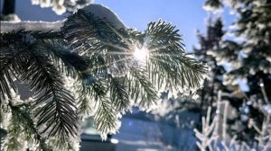 Прощай,зима!