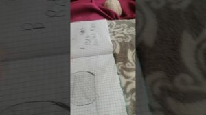 VID_20260228_144623.mp4