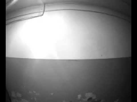 7 июля 2023 г. смотреть онлайн