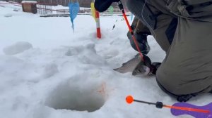 Поимка форели и гольца