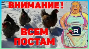 Сельчанка в Америке _Срочно _Внимание всем постам _Обзор _Selchanka v Amerike _Big Big Family _Funny