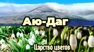 КРЫМ 2026.Место которое СВОДИТ С УМА своей КРАСОТОЙ! Гора Аю-Даг и море ПОДСНЕЖНИКОВ!