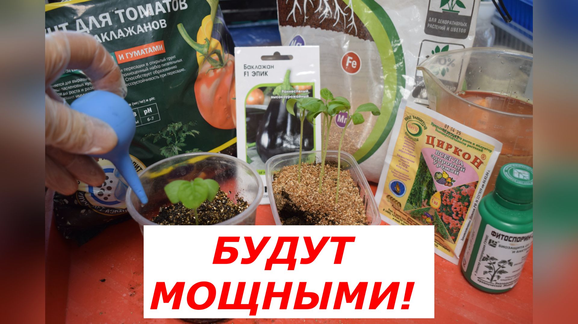 Как пикировать баклажаны смотреть онлайн