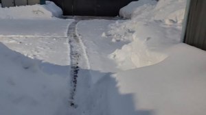 БУДУ РУГАТЬСЯ КАЖДЫЙ ДЕНЬ