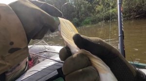 🔺️🎣ШУРОГАЙКА🎣🔺️fishing#туризм#природа#ловля#рыбалка#щука#ловлящуки#ночевка#Чулым#река#спиннинг