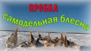 Конец Февраля 26г. Мороз а мы на рыбалке.