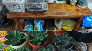 Снова снег ,автолавка ,баня и фиалки .