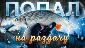 ГОЛАВЛЬ КЛЮЕТ ДУРИКОМ на МОРМЫШКУ 🔥 ВСЕ ТАКИ Я НАШЕЛ ЕГО ЛОГОВО ☝️