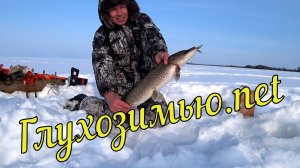 Закрыли глухозимье, дальше - последний  лёд. Наверное.