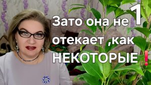 1 часть. Зато она не отекает как НЕКОТОРЫЕ❗️