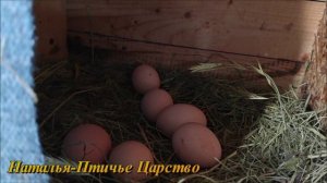 Кучинская юбилейная  АСД 2