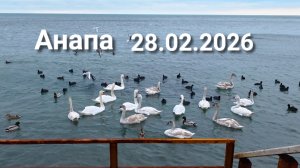 Анапа 28.02.2026