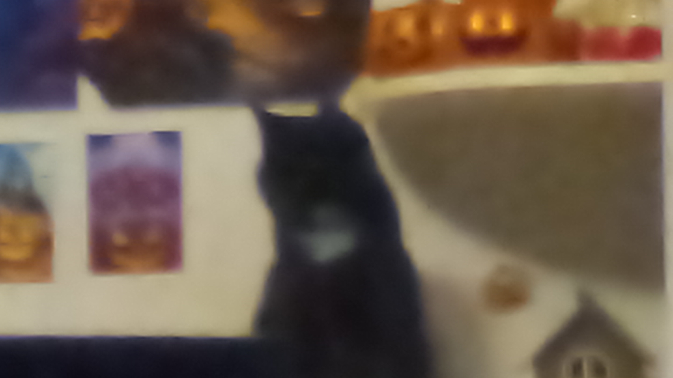 моя кошка Эльза и катится моей собакой пушкой