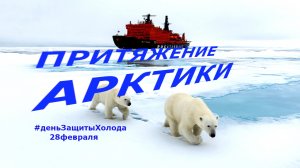 АРКТИКА - земля Большой Медведицы | Фоторепортаж | Интересные факты #деньЗащитыХолода 28Февраля 2026