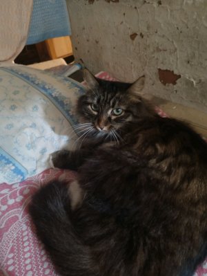 помогаю людям