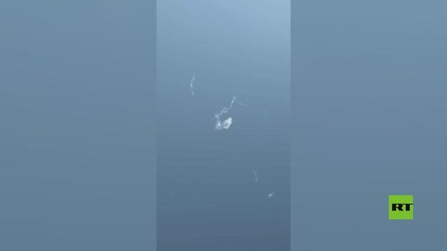 مشاهد لاعتراض الدفاعات الإماراتية صواريخ إيرانية فوق أبو ظبي смотреть онлайн