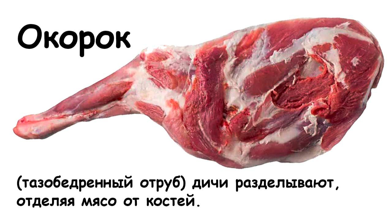 Разделка окорока дичи