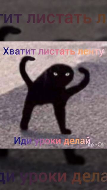 ХВАТИТ ЛИСТАТЬ ЛЕНТУ, ИДИ УРОКИ ДЕЛАЙ