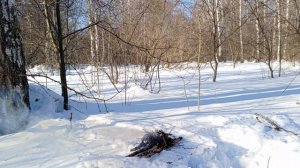 Развожу костер .