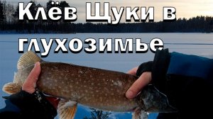 Попал на клёв щуки в глухозимье! Рыбалка на жерлицы в феврале 2026! Удачная постановка самоловок!