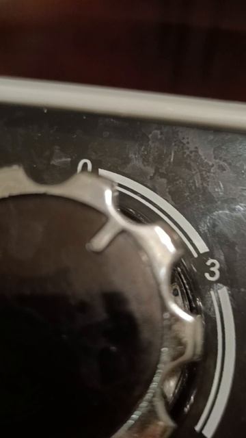 грязный дельфин