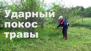 Трава прет как на дрожжах, кошу траву.