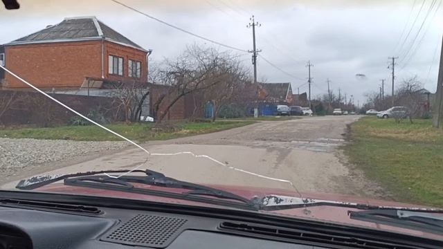 Покупаю саженцы роз.27.02.26