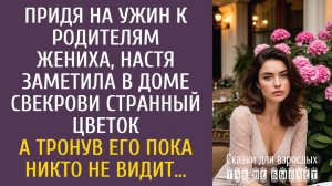 Истории из жизни: Придя на ужин к родителям жениха, Настя заметила в доме свекрови странный цветок…