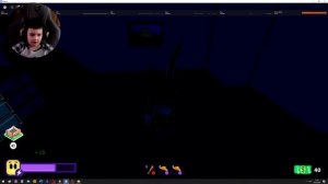 Играю в роблокс