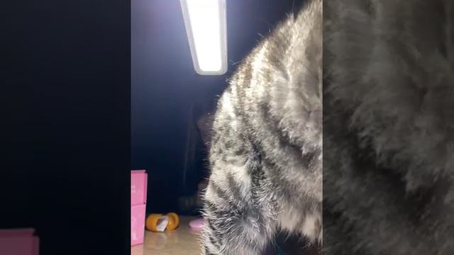 79399196560__9FF5E9A4-881C-4A1E-9D11-5526181CBDFB смотреть онлайн