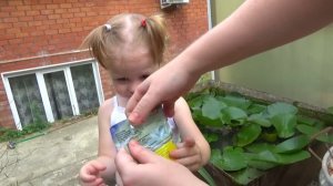 Волшебные очки - ИГРА КВЕСТ от Свинки Пеппы ⧸ Развлечен