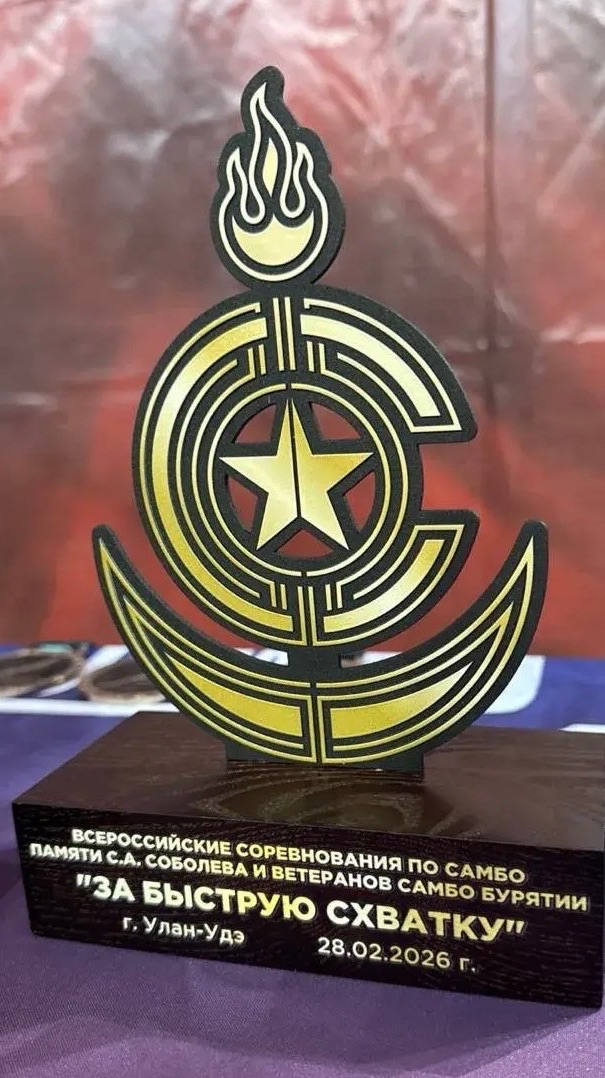 Кубок за быструю победу  2сек самбо дети