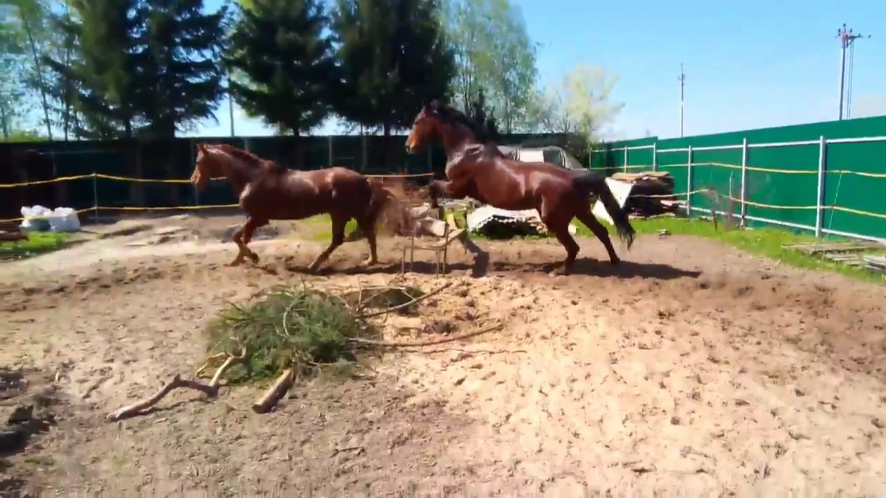 Вся жизнь в движении