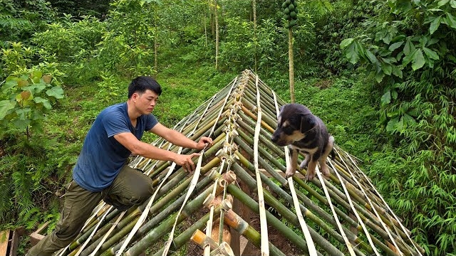 Продолжаю строить небольшую бамбуковую виллу. Серия 6 смотреть онлайн